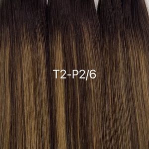 Gennius Wefts 60grams 20inches T2-P2/6